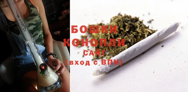 дмт Арсеньев